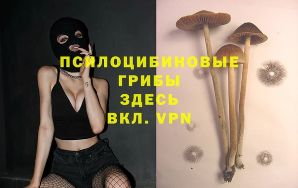 мдма Гвардейск