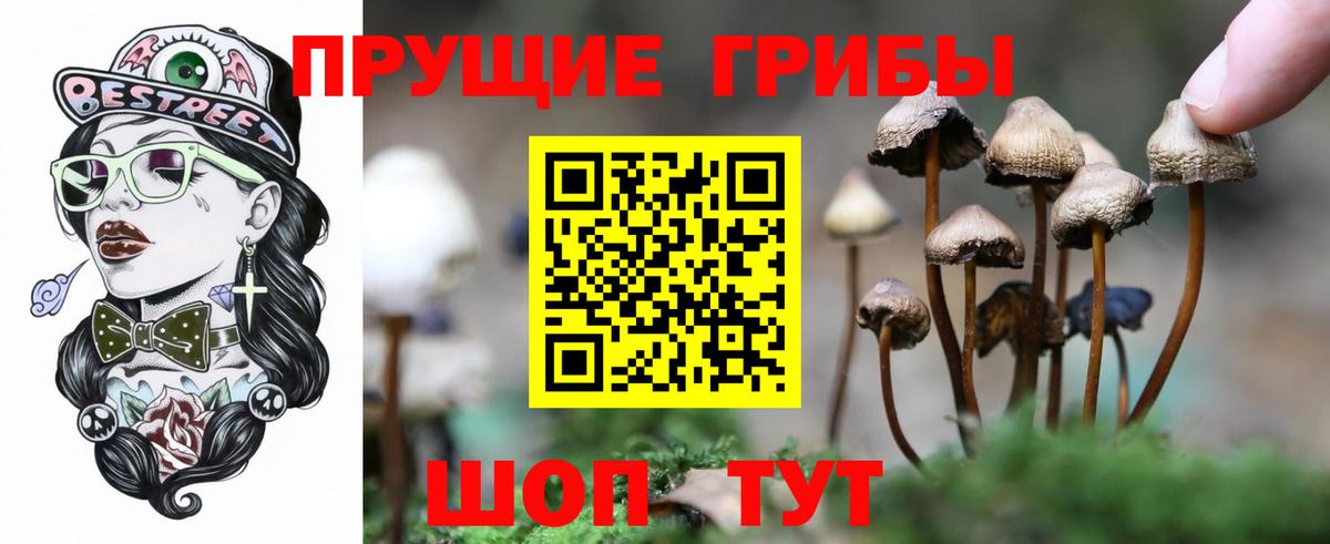 Псилоцибиновые грибы мицелий  Вход с VPN  Отрадный 